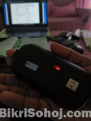 Mouse